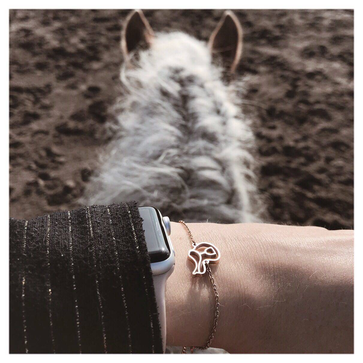 Saddle strap - Ponytail &amp;amp; Co