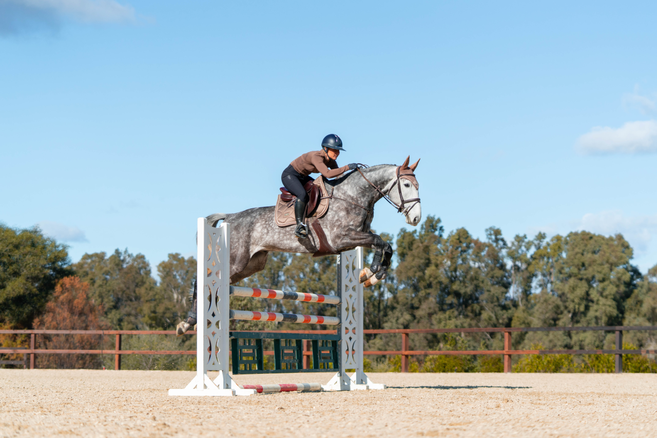 CHAMPAGNE saddle pad - Equestrian Stockholm 