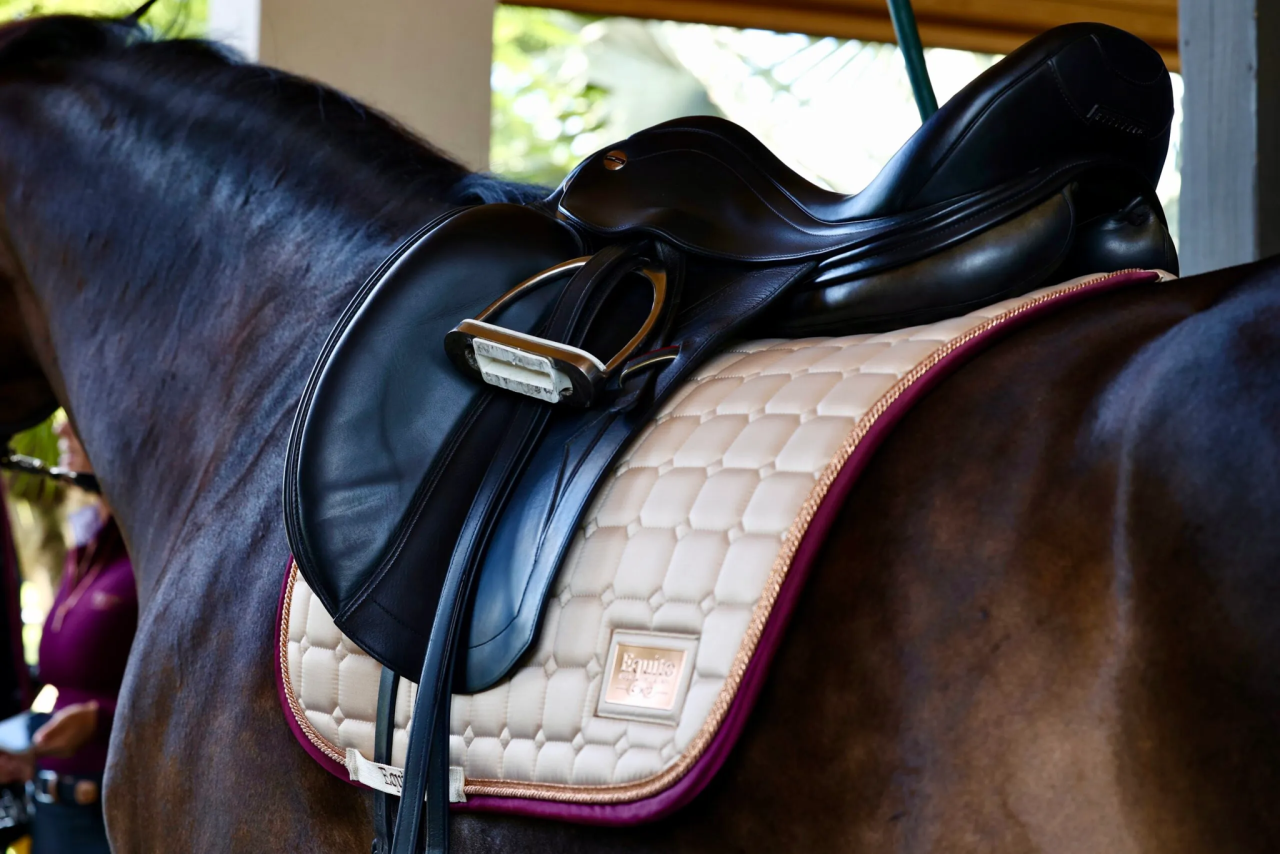 Champagne plum saddle pad - EQUITO