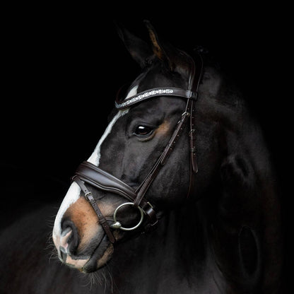 Bridon Danciero - SD Design