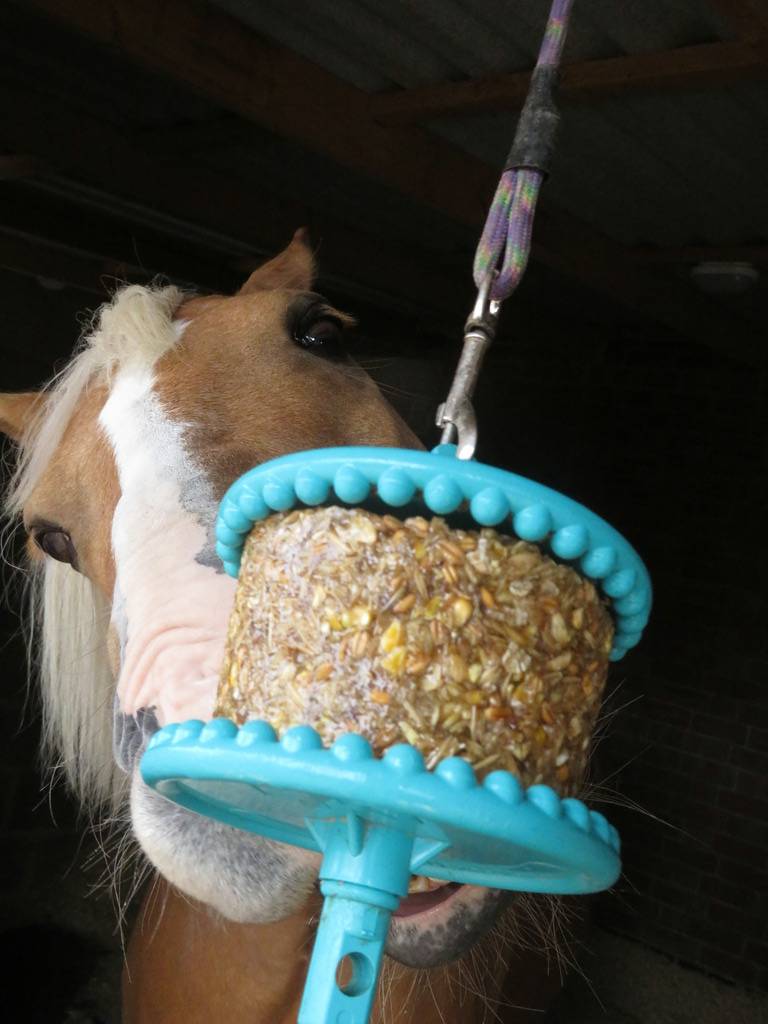 Bloc à lécher GRANOLA - LIKIT