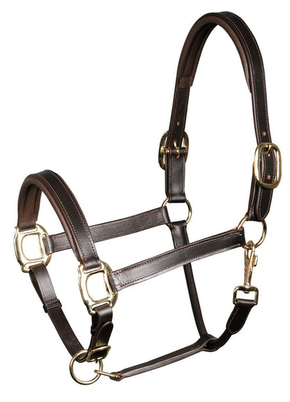 Licol en cuir Padded - Harry&