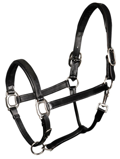 Licol en cuir Padded - Harry&