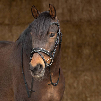 Bridon Sparkle - Harry&