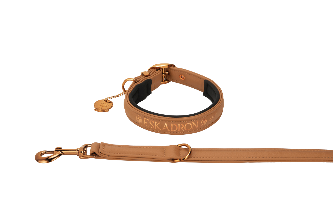 FAUX LEATHER Platinum dog leash and collar 2023 - Eskadron
