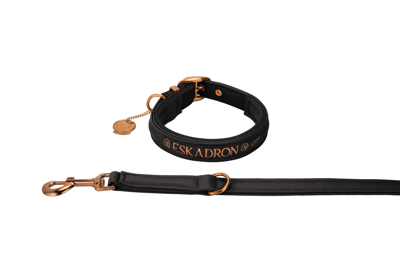 FAUX LEATHER Platinum dog leash and collar 2023 - Eskadron