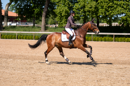 Guêtres Anatomic Moonless Night - Equestrian Stockholm