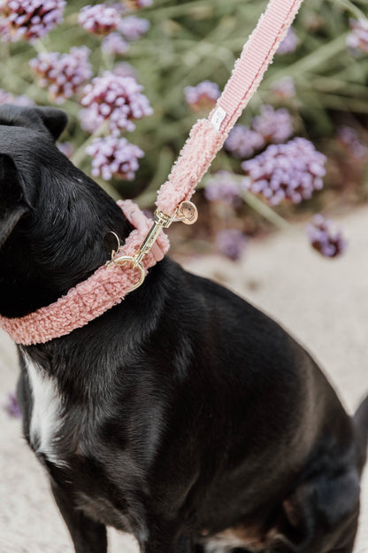 Collier pour chien Teddy Fleece - Kentucky