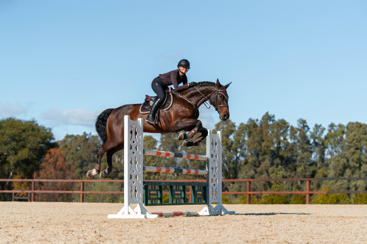 GOLDEN BROWN saddle pad - Equestrian Stockholm 