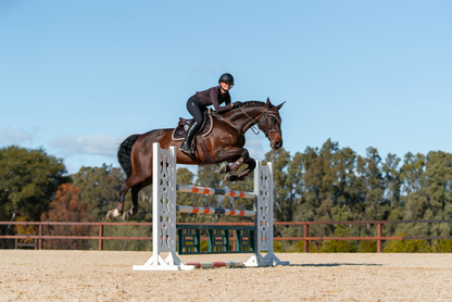 GOLDEN BROWN saddle pad - Equestrian Stockholm 