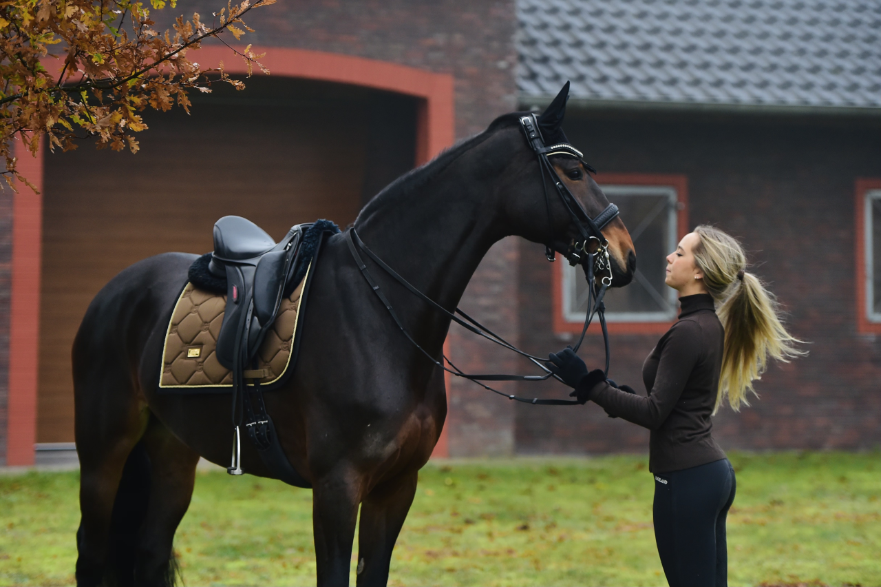 Golden Brass saddle pad - Equestrian Stockholm 