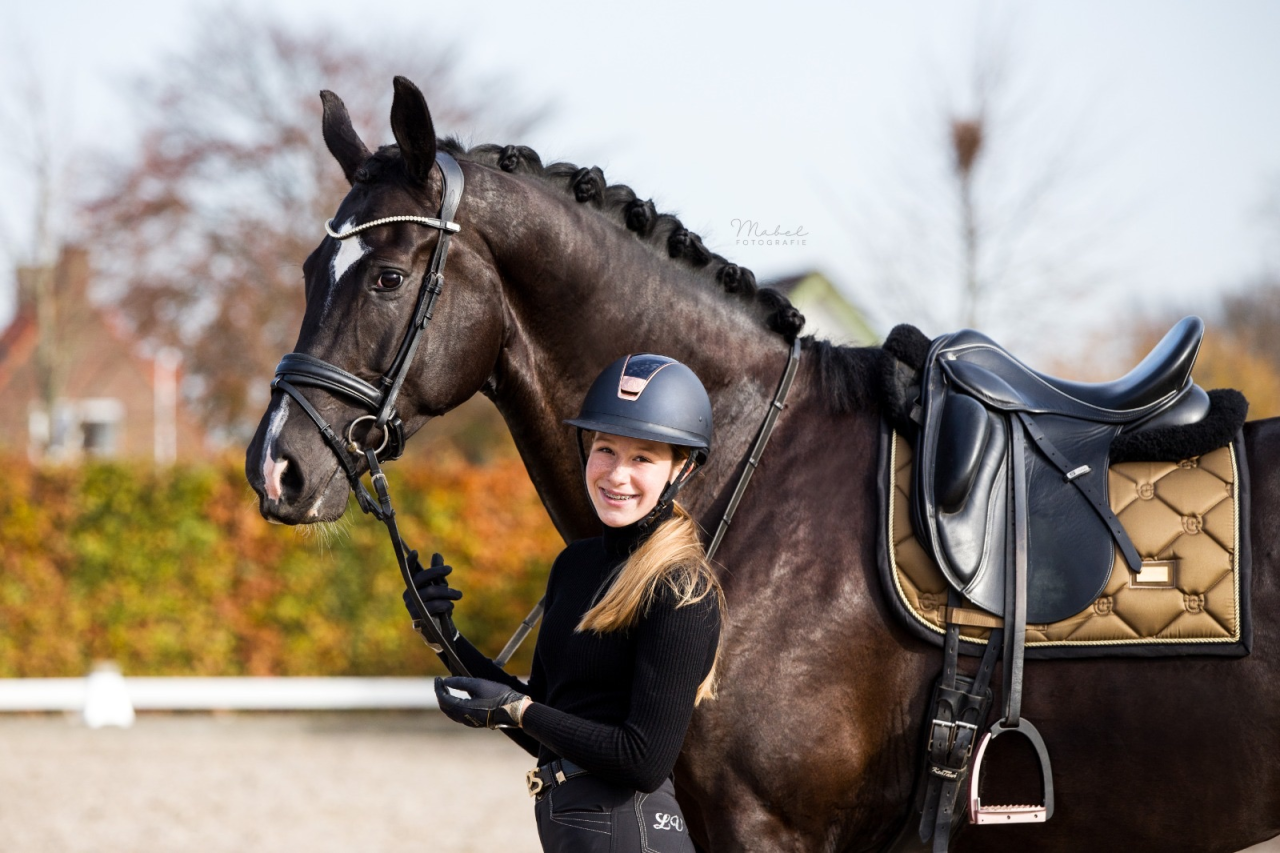Golden Brass saddle pad - Equestrian Stockholm 