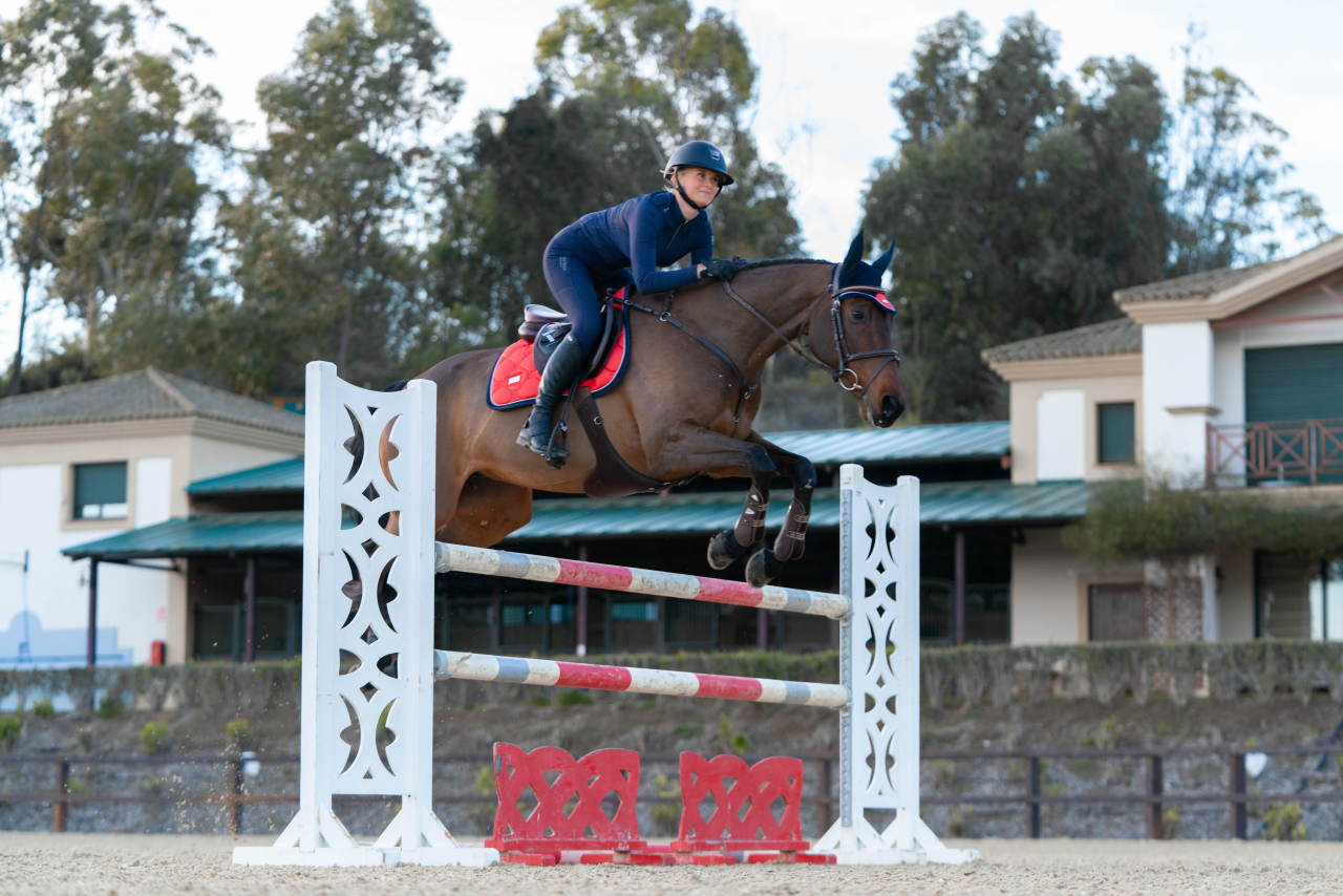 Grenadine saddle pad - Equestrian Stockholm 