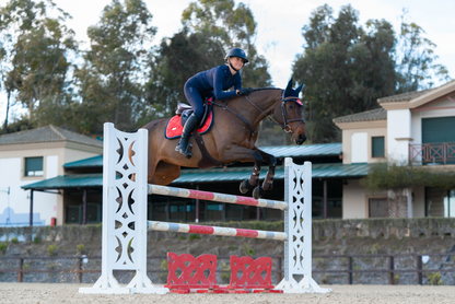 Grenadine saddle pad - Equestrian Stockholm 