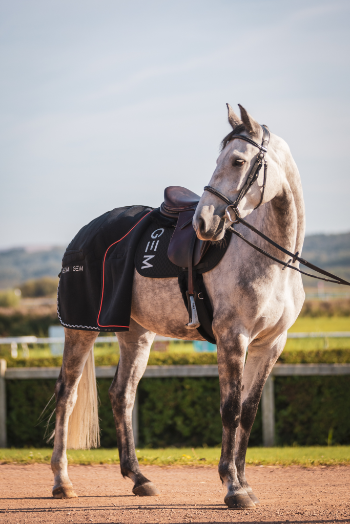 Tapis de selle TEN Noir argent MIXTE - GEM