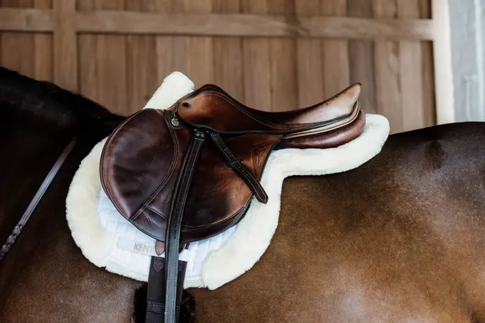 Hunter Sheep vegan saddle pad - Kentucky