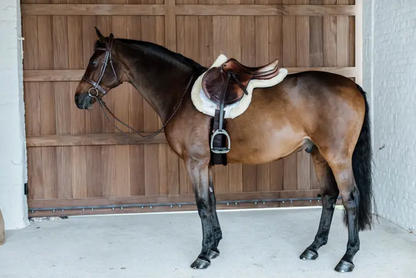 Hunter Sheep vegan saddle pad - Kentucky