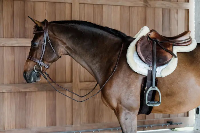 Hunter Sheep vegan saddle pad - Kentucky