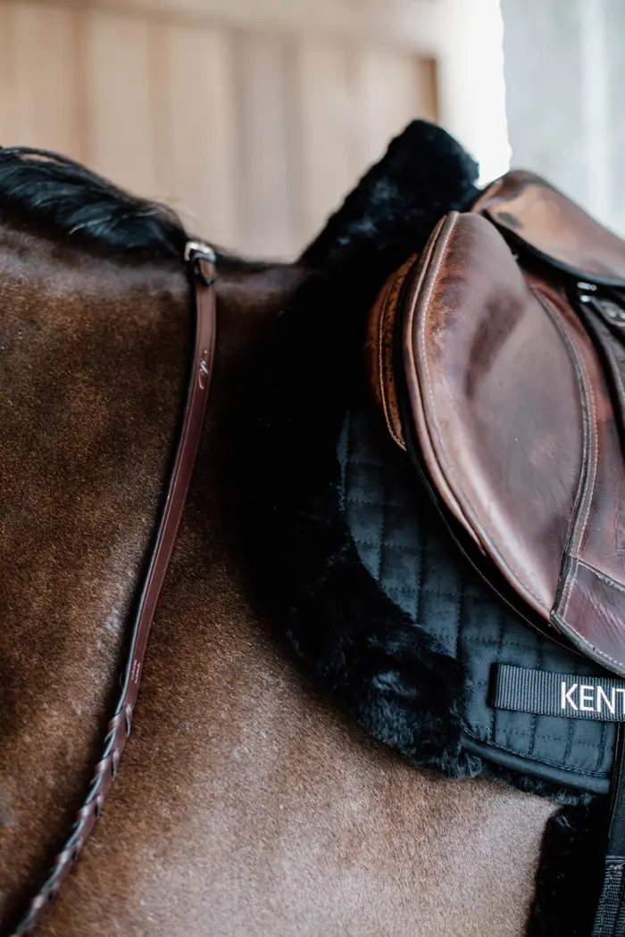Hunter Sheep vegan saddle pad - Kentucky