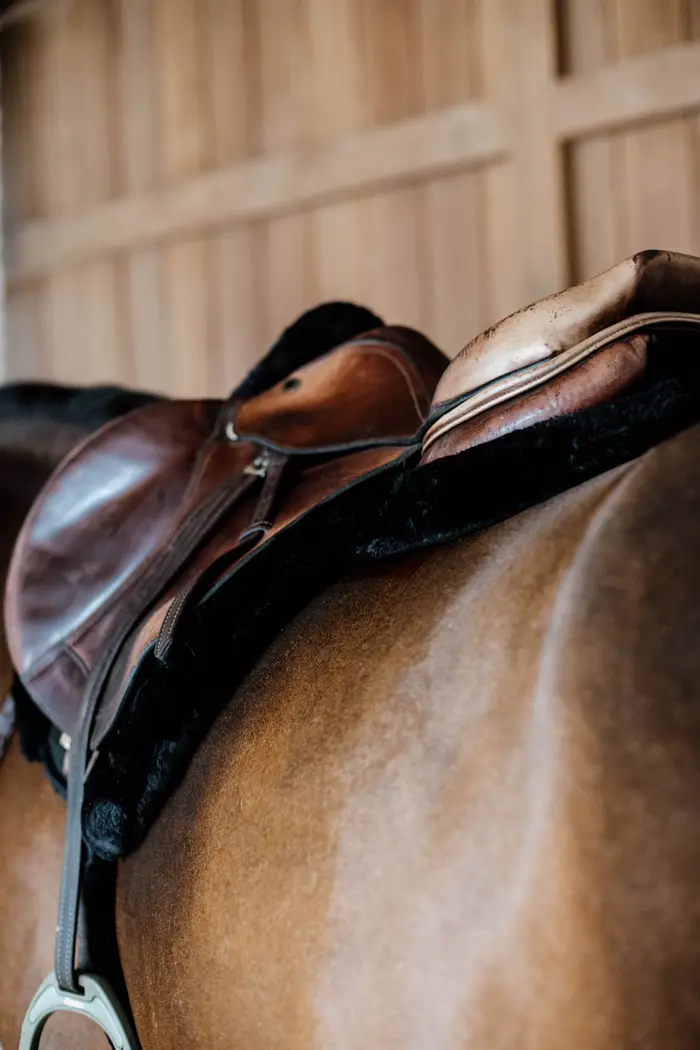 Hunter Sheep vegan saddle pad - Kentucky