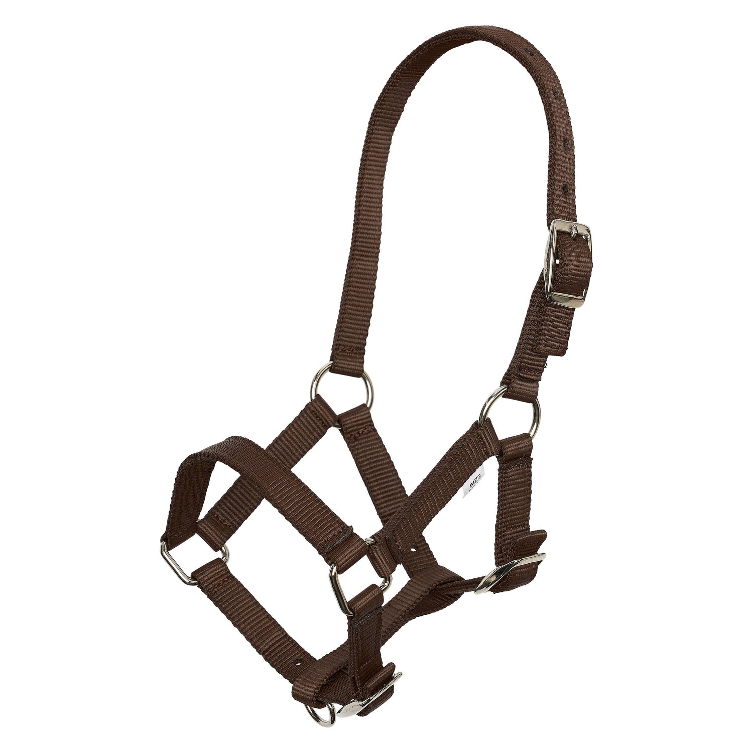 Foal halter - Imperial Riding
