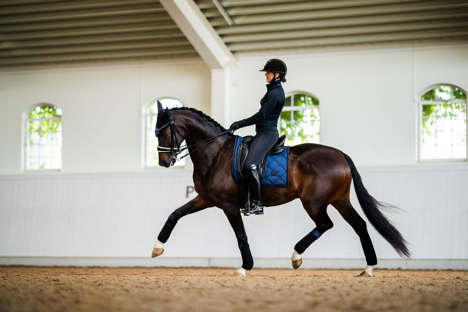 Tapis de selle Polar Night Glimmer DRESSAGE - Equestrian Stockholm