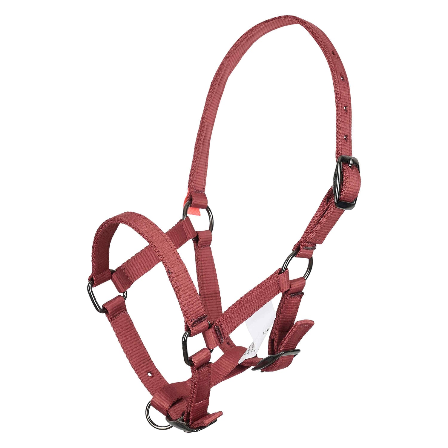 Foal halter - Imperial Riding