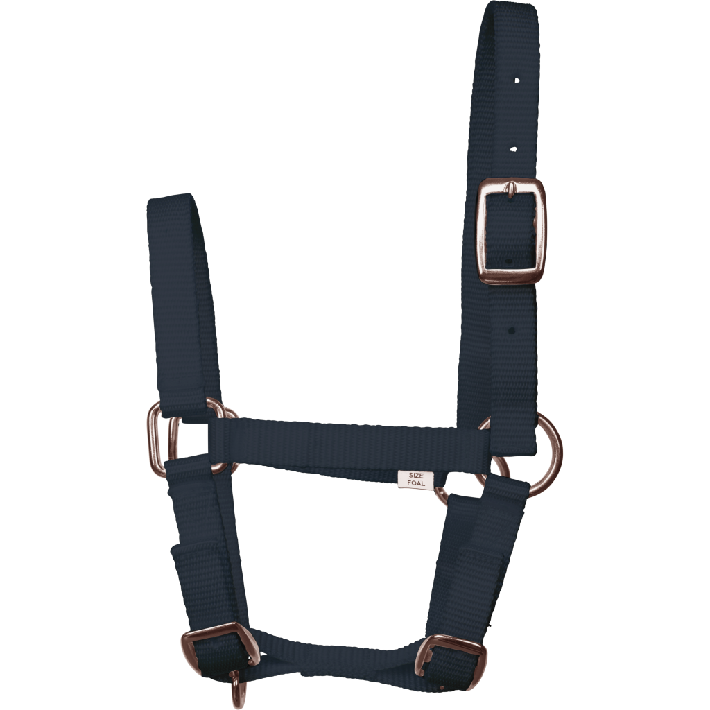 Foal halter - Imperial Riding