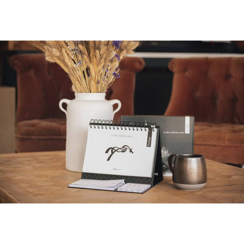 Penelope 2024 diary book - PENELOPE COLLECTION