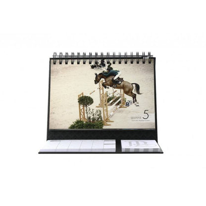 Penelope 2024 diary book - PENELOPE COLLECTION
