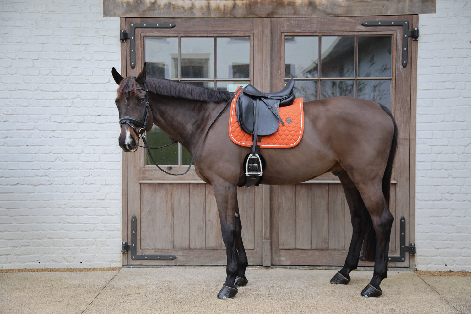 Tapis de selle Melange DRESSAGE - Kentucky