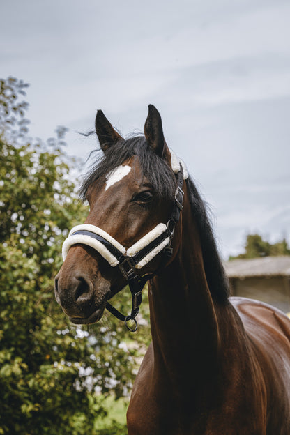 Licol nylon Fashion - Equithème