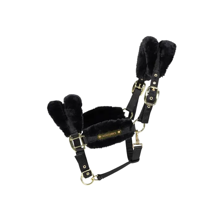 Soft nylon sheep halter - Kentucky