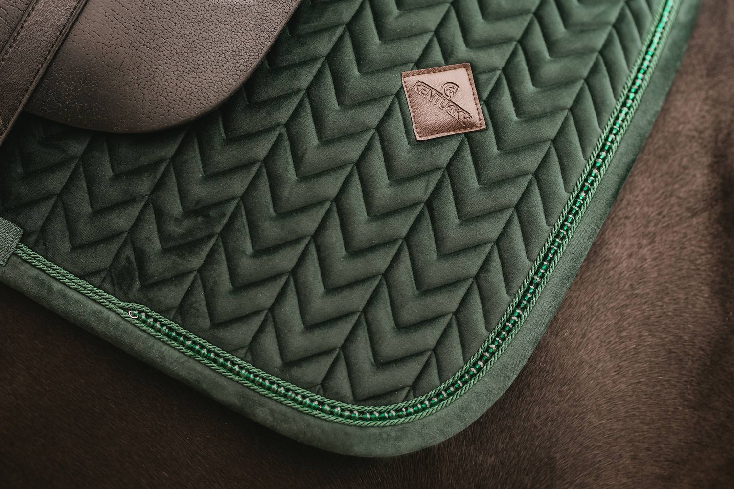 Velvet Pearl Fir Green Rug - KENTUCKY