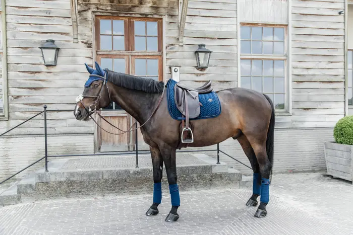 Tapis Velvet Pearl Marine DRESSAGE - KENTUCKY