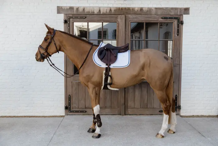 Glitter Rope Saddle Pad White/Navy - Kentucky