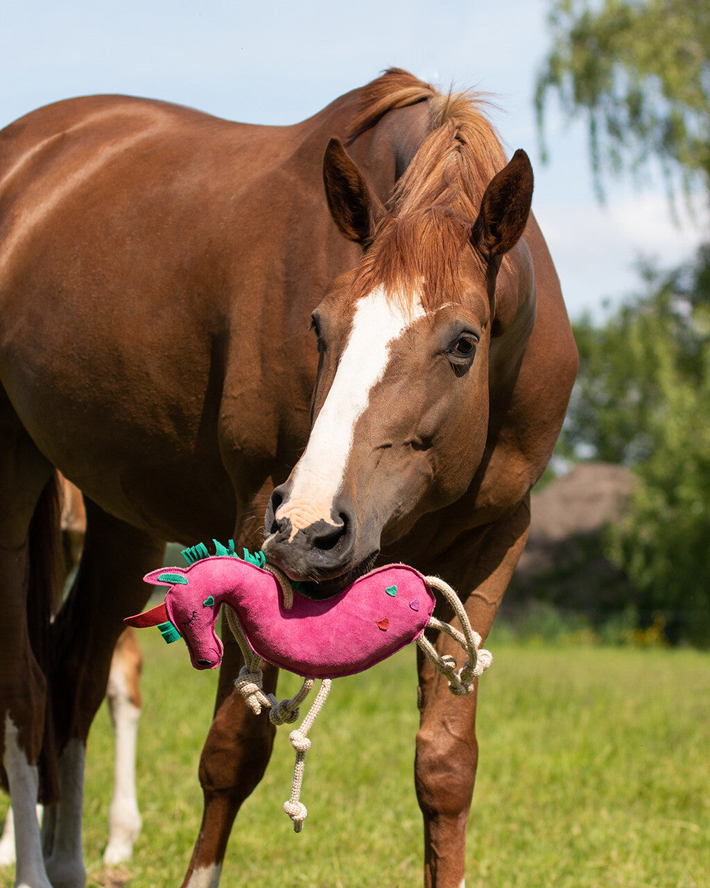 Jouet pour cheval Licorne - QHP