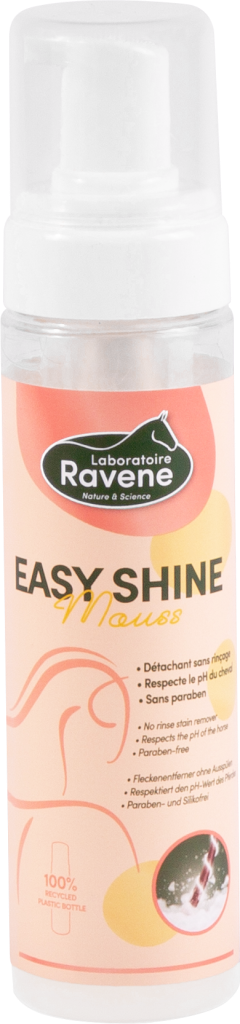 Easy Shine Mouss - Laboratoire Ravene