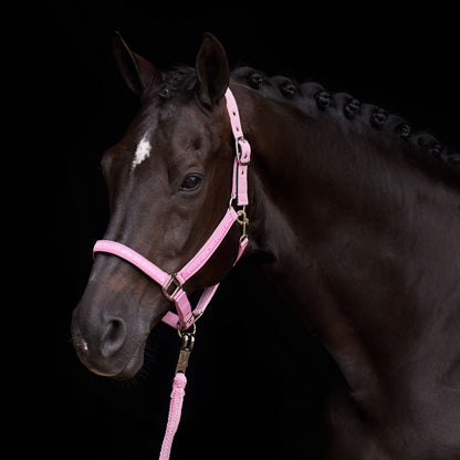 Licol Nena - HV POLO