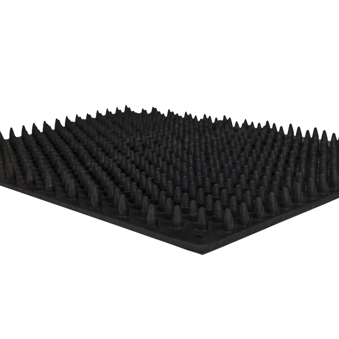Tapis de grattage/massage - QHP