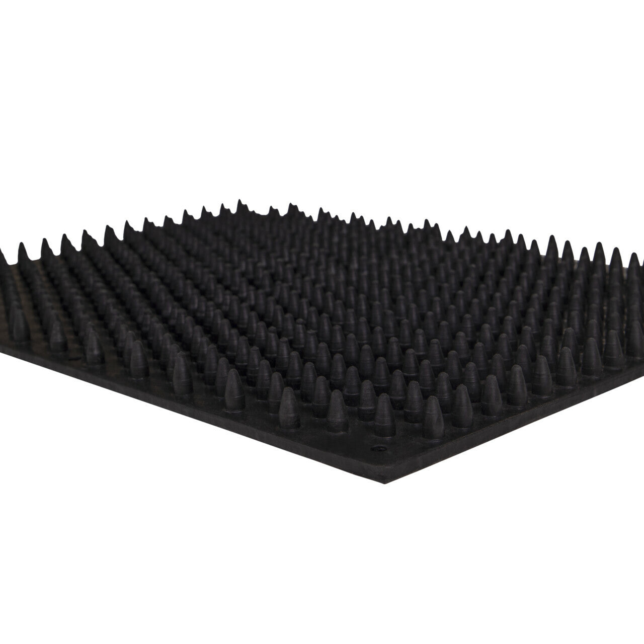 Tapis de grattage/massage - QHP