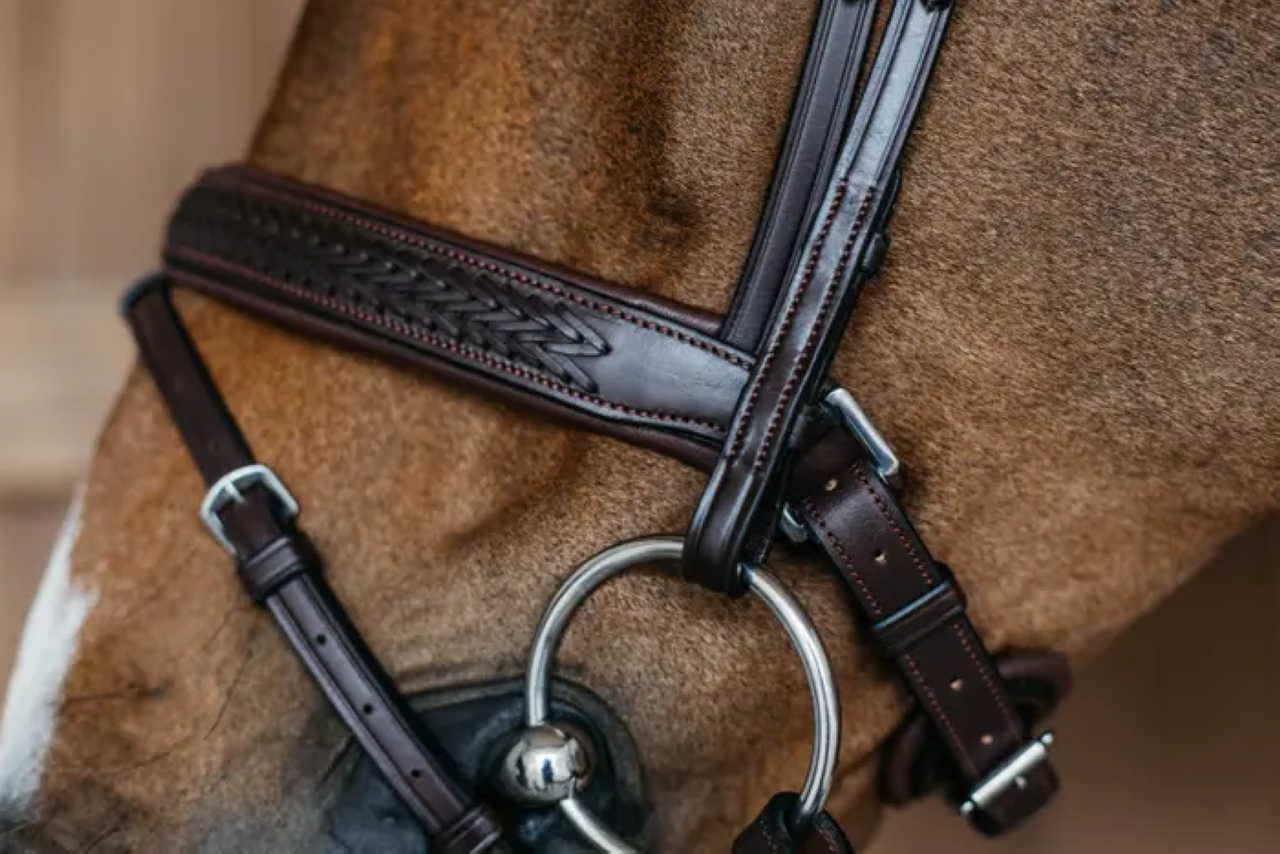 Bridon muserolle pull back tressée - Dy&