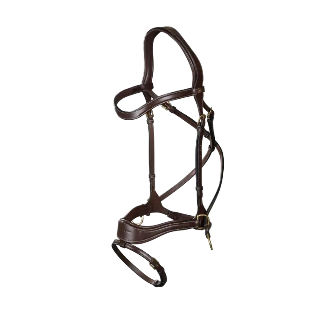 D-Motion Bridle - Dy&