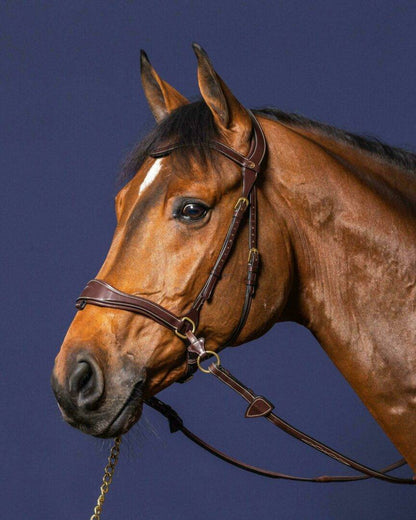 D-Motion Bridle - Dy&