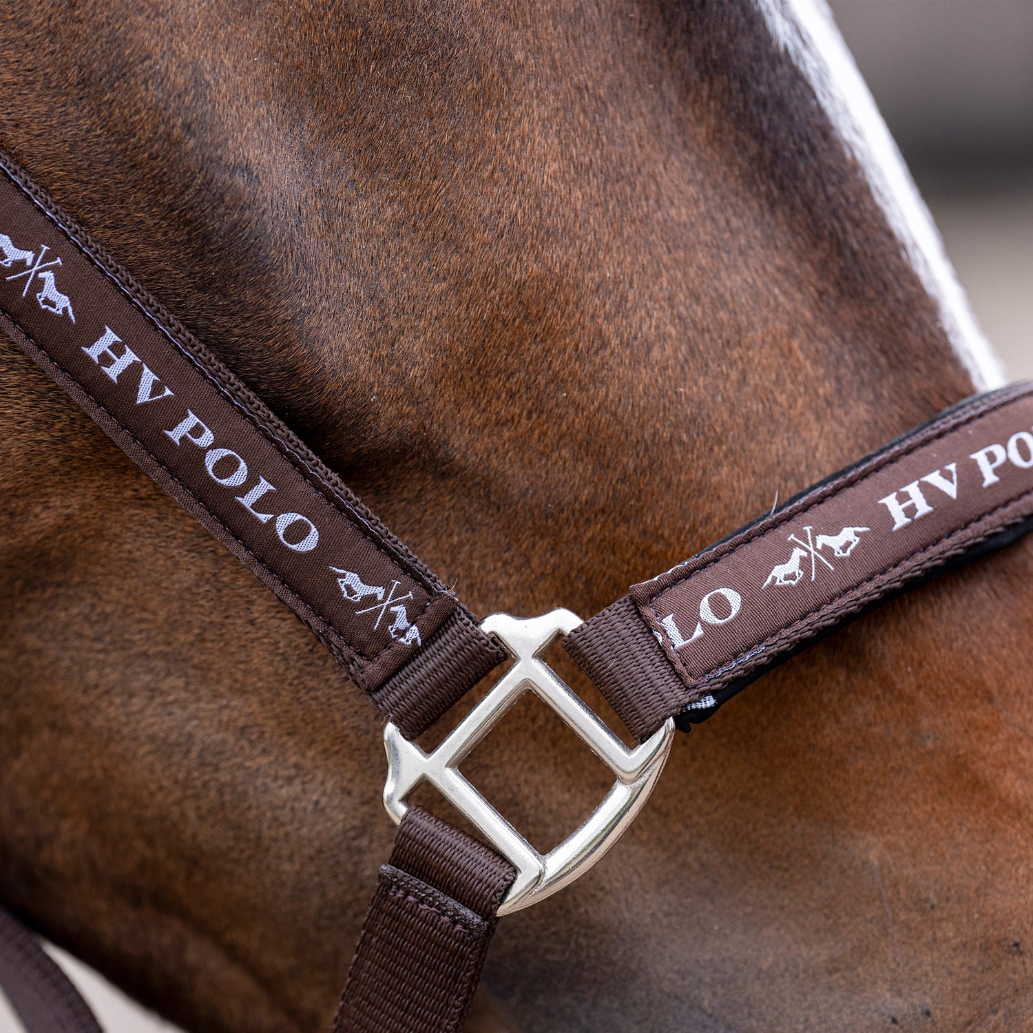 Licol HV Polo