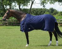 Chemise coton - QHP
