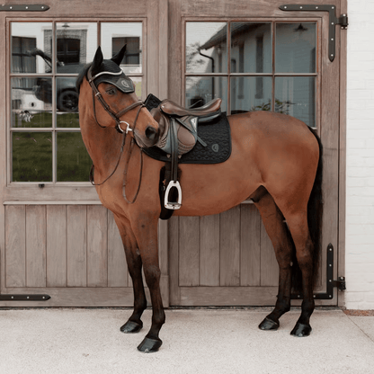Tapis de selle Sparkling MIXTE - Kentucky