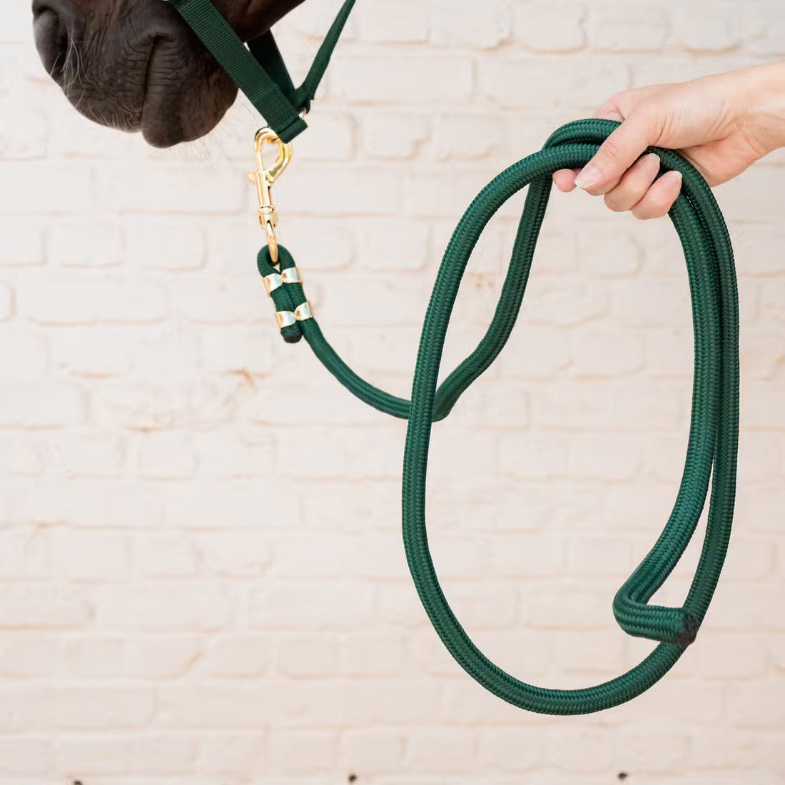 Longe Basic Vert - KENTUCKY