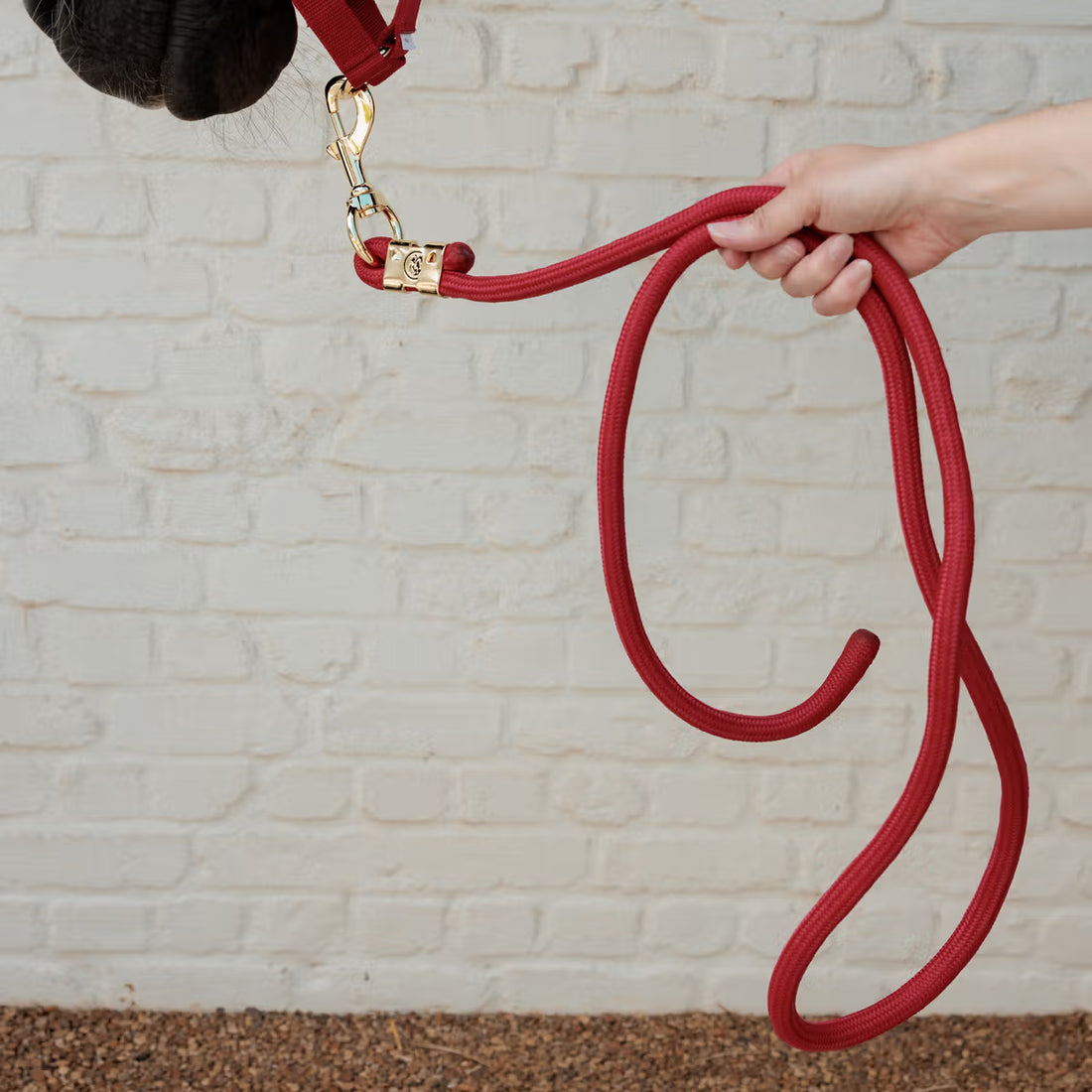 Longe Basic Rouge - Kentucky