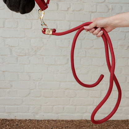 Longe Basic Rouge - Kentucky